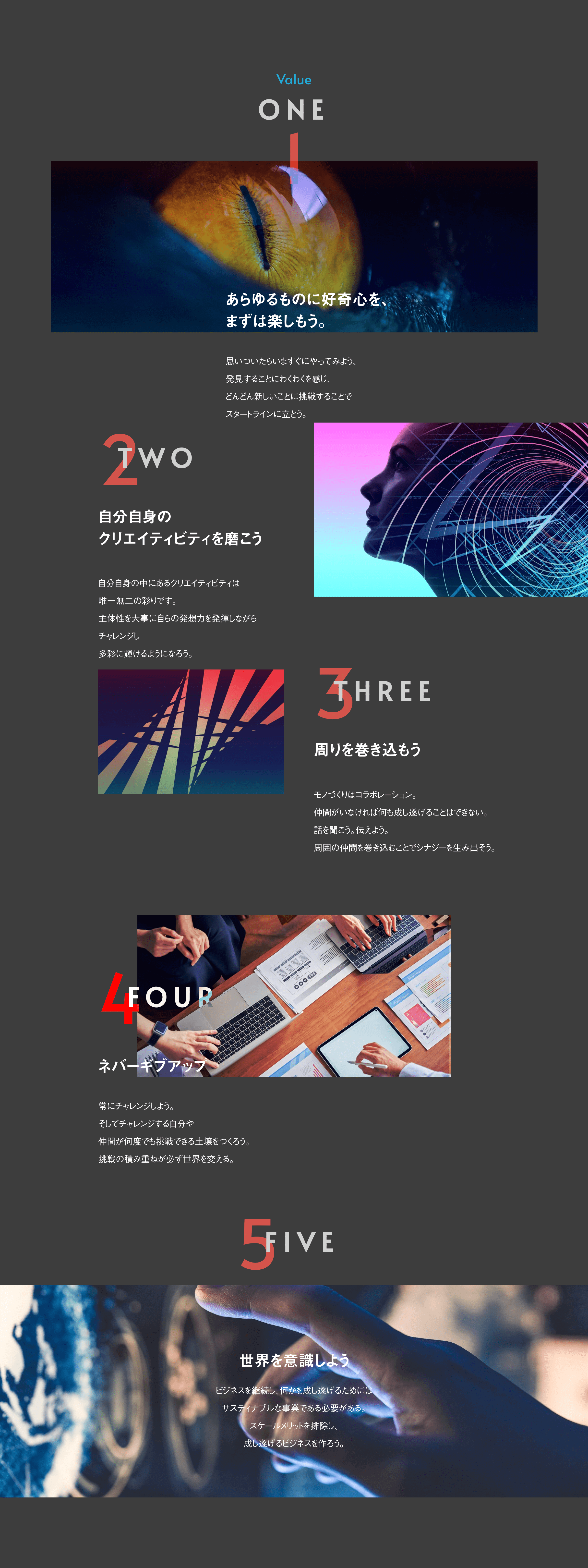 RIoTページ PCビュー